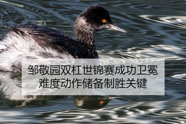 邹敬园双杠世锦赛成功卫冕 难度动作储备制胜关键