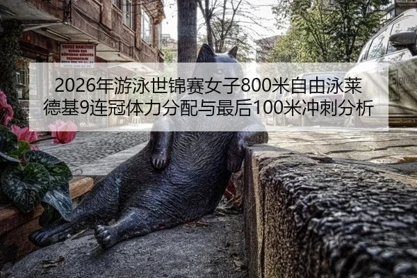 2026年游泳世锦赛女子800米自由泳莱德基9连冠体力分配与最后100米冲刺分析